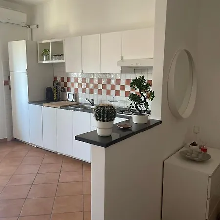 Mammaro's House 아파트 *